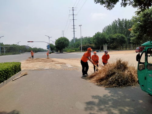 德州環衛 及時清理曬糧雜物，凈化農業環境服務豐收季
