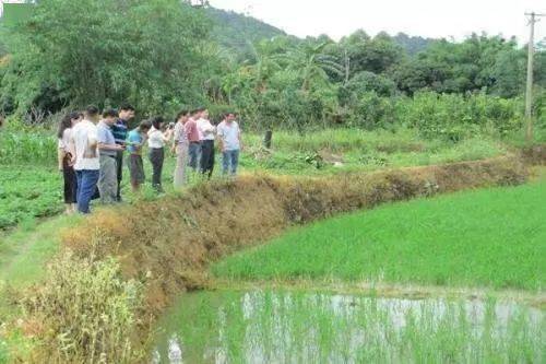 土地新政 撂荒兩年土地經(jīng)營權(quán)或終止，農(nóng)業(yè)整理服務(wù)迎來新機(jī)遇